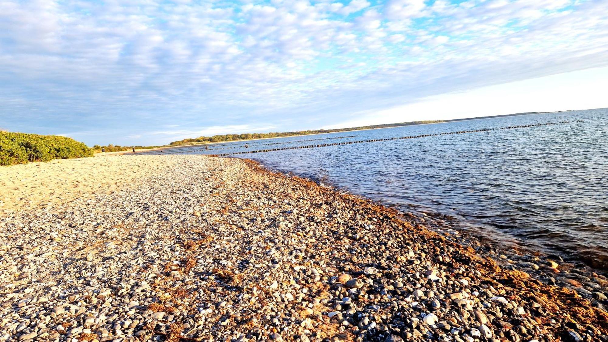 App 8O Grosser Tag Am Meer Mit Wasserblick Dranske Exterior foto
